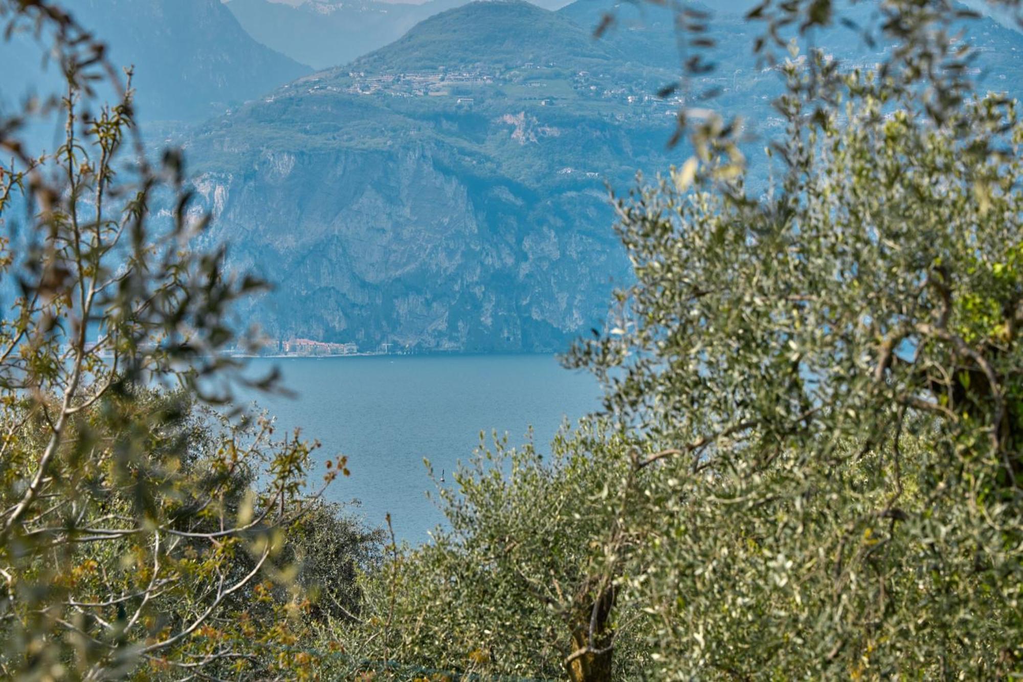 Bellavista Apartment Malcesine Exteriör bild